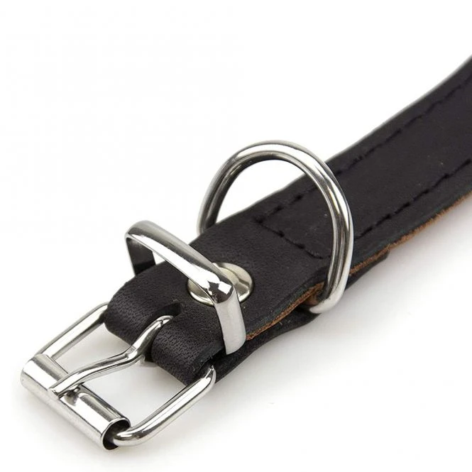 Karlie Rondo Windhund-Halsband - Schwarz 2 Karlie Rondo Windhund-Halsband - Schwarz – Bild 2