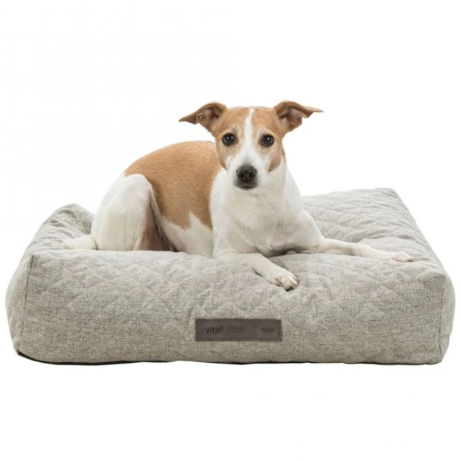 Trixie Vital Kissen Noah - Hellgrau 2 Trixie Vital Kissen Noah - Hellgrau – Bild 2