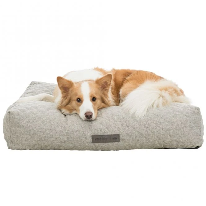 Trixie Vital Kissen Noah - Hellgrau 6 Trixie Vital Kissen Noah - Hellgrau – Bild 6