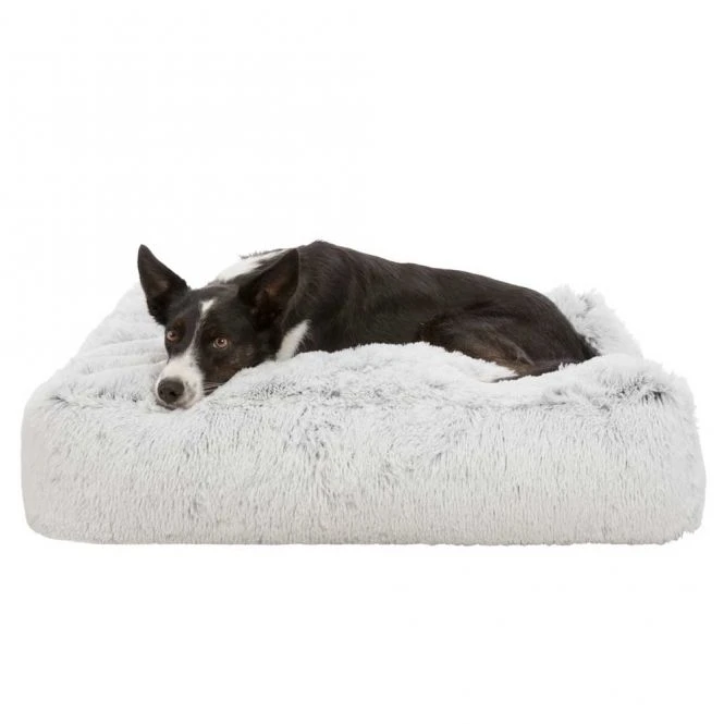 Trixie Kissen Harvey 1 Trixie Kissen Harvey