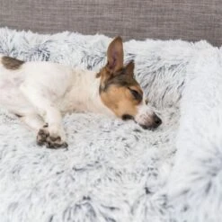 Trixie Polster-Schondecke Harvey -Günstiges Keks Wuff Geschäft 38045 31