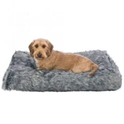 Trixie Kissen Yelina 21 Trixie Kissen Yelina -Günstiges Keks Wuff Geschäft 38072 9