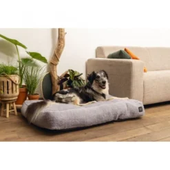 Beeztees Minus One Liegekissen Don -Günstiges Keks Wuff Geschäft 716140 1