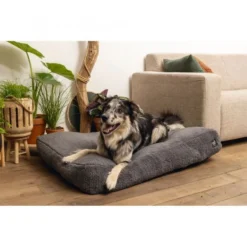 Beeztees Minus One Liegekissen Don -Günstiges Keks Wuff Geschäft 716142 2