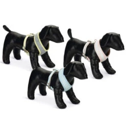 Beeztees Puppy Welpengeschirr