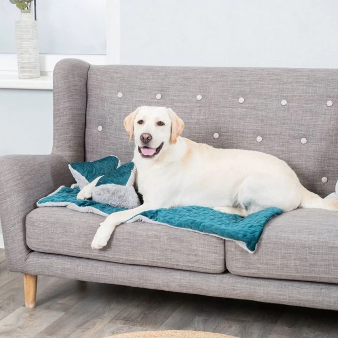 Trixie Decke Estelle - Grün/grau 5 Trixie Decke Estelle - Grün/grau – Bild 5