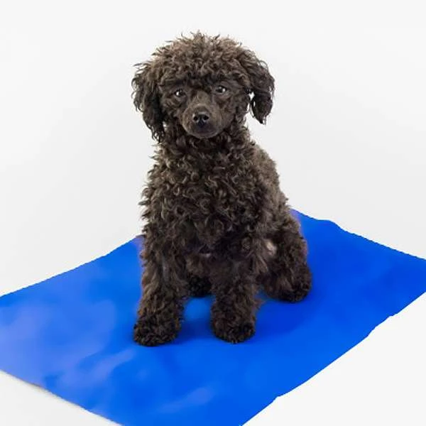 PROCYON Kühlmatte 1 PROCYON Kühlmatte