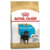Royal Canin Rottweiler Puppy
