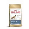 Royal Canin Boxer Adult